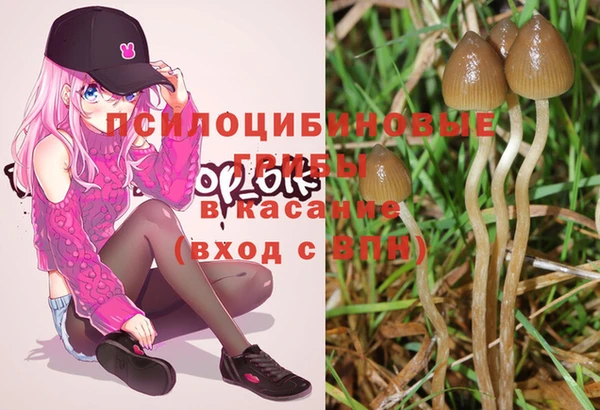 MESCALINE Нефтегорск