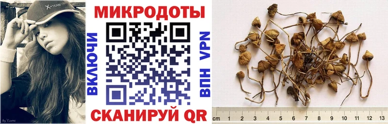 Псилоцибиновые грибы ЛСД  где купить наркоту  Таганрог 